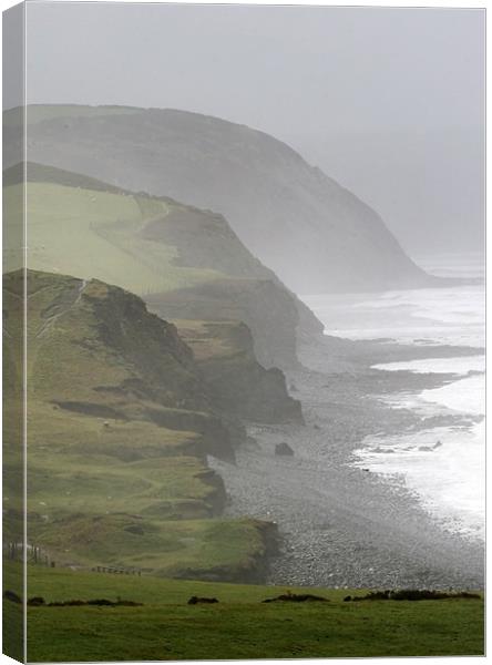 Misty Rugged North Devon Coast Canvas Print by Mike Gorton