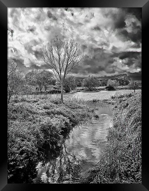 Throop River Framed Print by Jennie Franklin