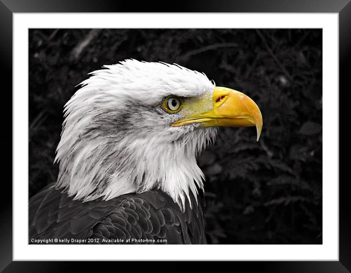 Liberty The Eagle Framed Mounted Print by kelly Draper