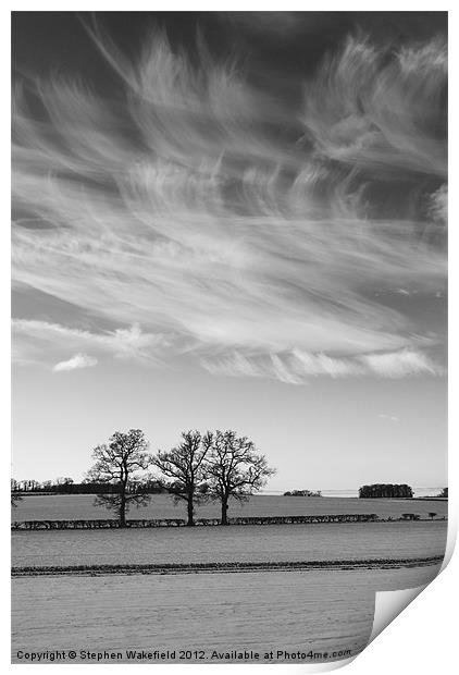 Winter Skies Print by Stephen Wakefield