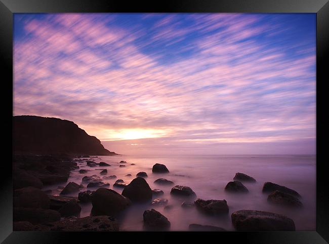 In the pink Framed Print by mark leader