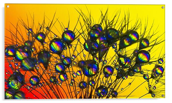 Rainbow Drops. Acrylic by paul cowles