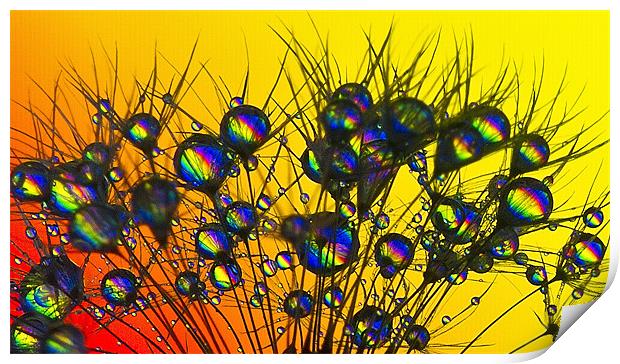 Rainbow Drops. Print by paul cowles