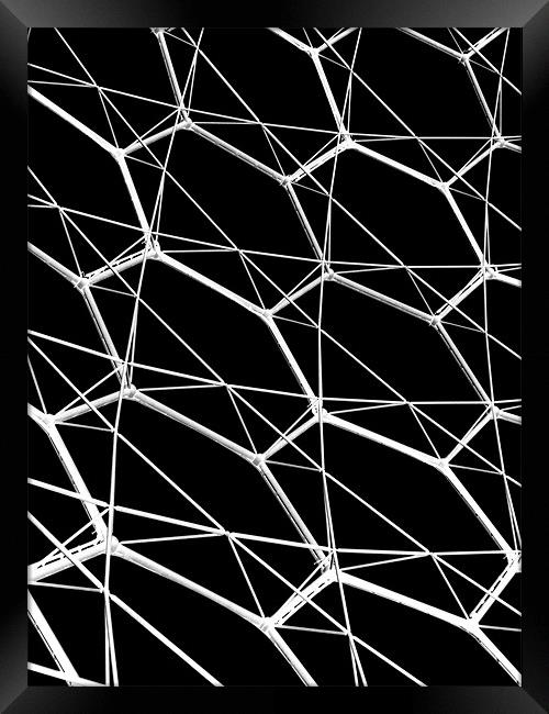 minimal eden (black) Framed Print by Heather Newton