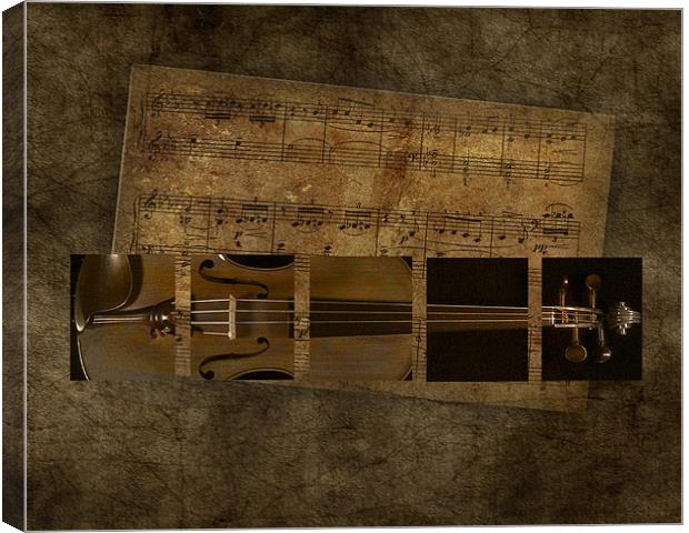 The Sound of a Violin Canvas Print by Debra Kelday