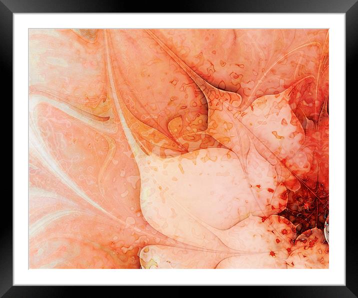 Layered Pinks Framed Mounted Print by Amanda Moore