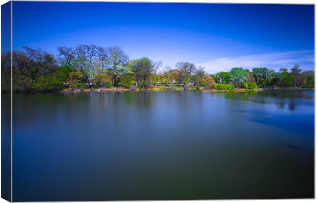 Jackson Park Canvas Print by Jonah Anderson Photography