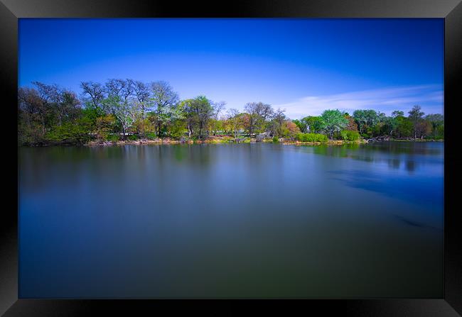 Jackson Park Framed Print by Jonah Anderson Photography