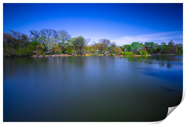 Jackson Park Print by Jonah Anderson Photography