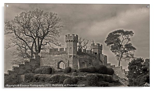 Warwick Castle Keep Acrylic by Elouera Photography