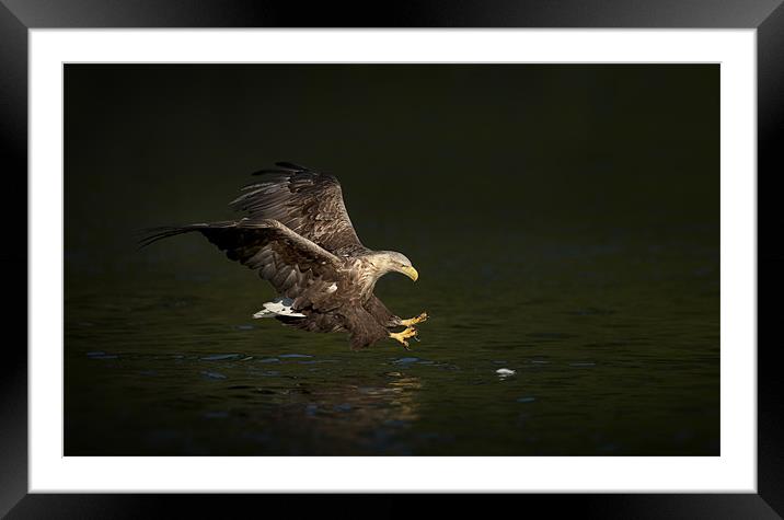 Split Second Timing Framed Mounted Print by Natures' Canvas: Wall Art  & Prints by Andy Astbury