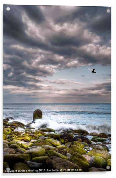 Stormy Beach Acrylic by Alice Gosling