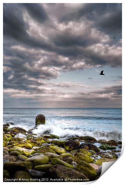 Stormy Beach Print by Alice Gosling