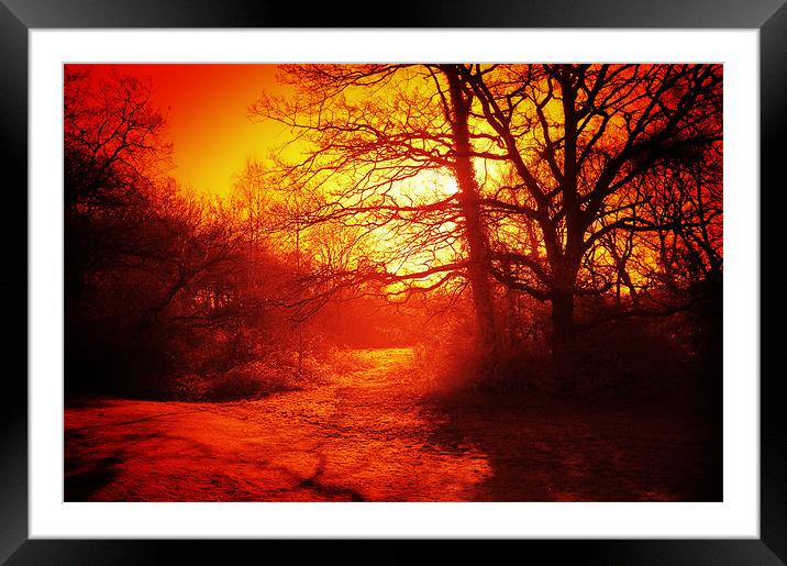 Sunrise on Southampton Common Framed Mounted Print by Chris Martin