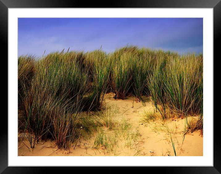 Beach Grass Framed Mounted Print by Louise Godwin