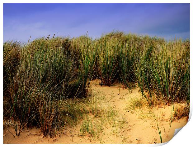 Beach Grass Print by Louise Godwin