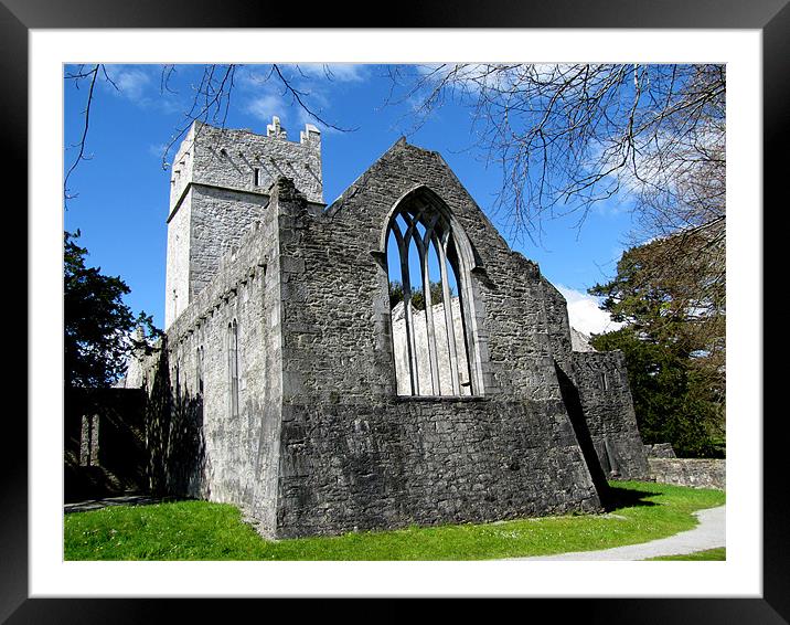 Muckross Abbey Framed Mounted Print by barbara walsh