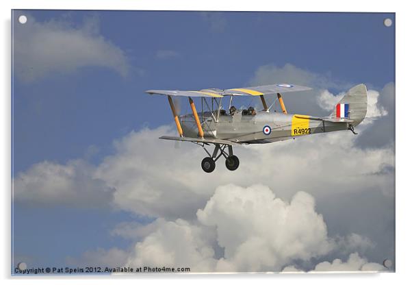 DH82 Tiger Moth Acrylic by Pat Speirs