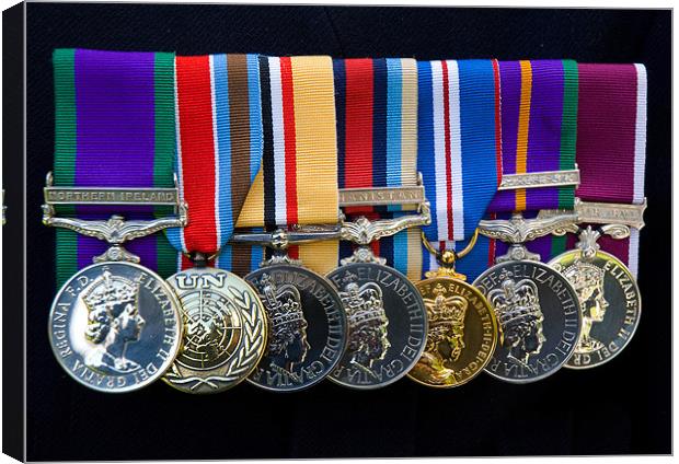 Campaign Medals Canvas Print by Peter Jarvis