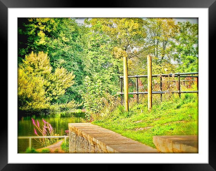 banks of the lake Framed Mounted Print by sue davies