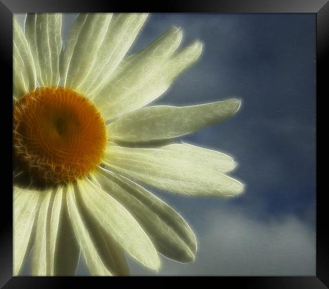 Dreaming of Summer Framed Print by Debra Kelday