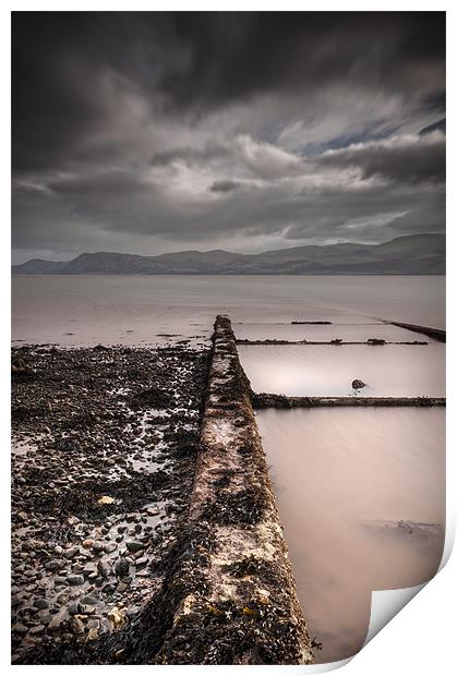 Relic Print by Natures' Canvas: Wall Art  & Prints by Andy Astbury