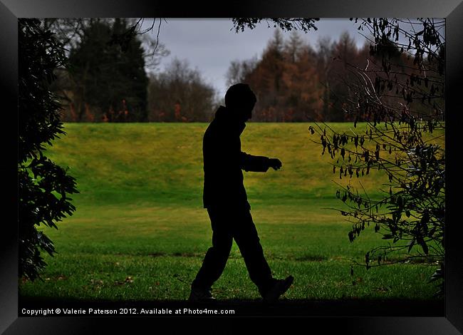 A Walk In The Dark Framed Print by Valerie Paterson