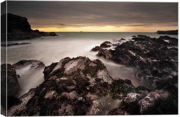 The Reef Canvas Print by Natures' Canvas: Wall Art  & Prints by Andy Astbury