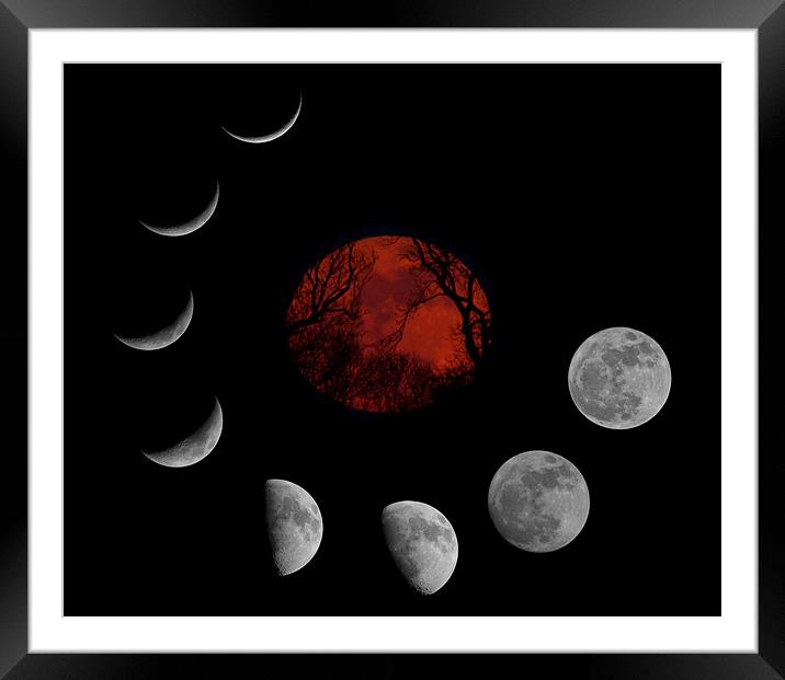 SuperMoon Montage Framed Mounted Print by mark humpage