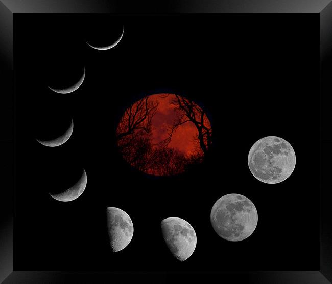 SuperMoon Montage Framed Print by mark humpage