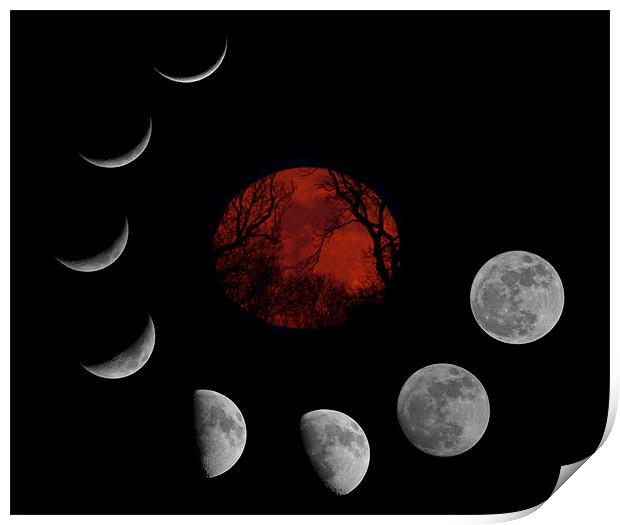 SuperMoon Montage Print by mark humpage