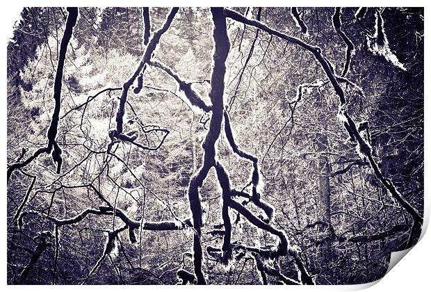 Spooky Trees Print by Jamie Moffat