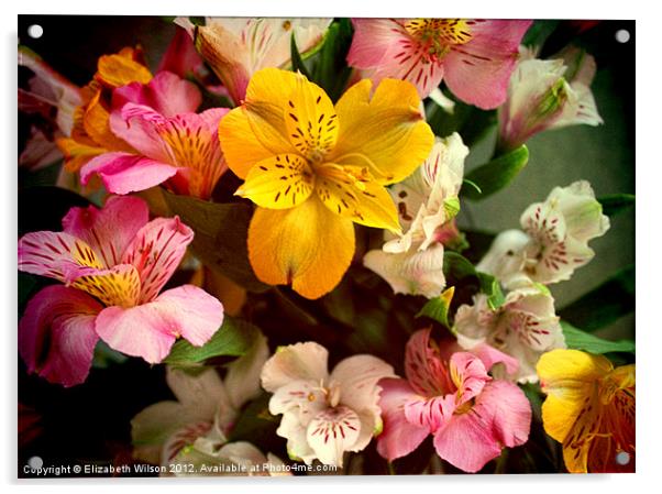 Lily of the Incas Bouquet Acrylic by Elizabeth Wilson-Stephen
