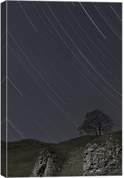 Lone Tree by Moonlight Canvas Print by Natures' Canvas: Wall Art  & Prints by Andy Astbury