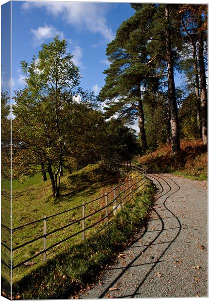 Lakeland Pathway Canvas Print by Roger Green