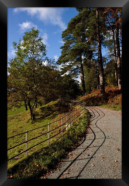 Lakeland Pathway Framed Print by Roger Green