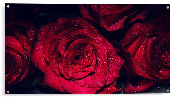 Romancing Rose. Acrylic by Rosanna Zavanaiu
