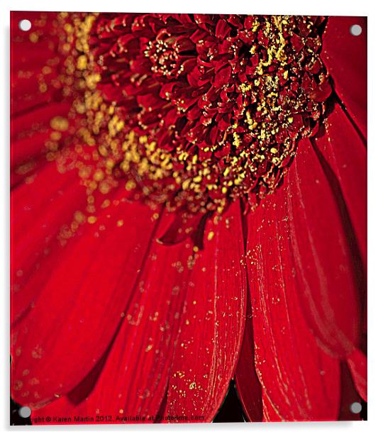Gerbera Pollen Acrylic by Karen Martin