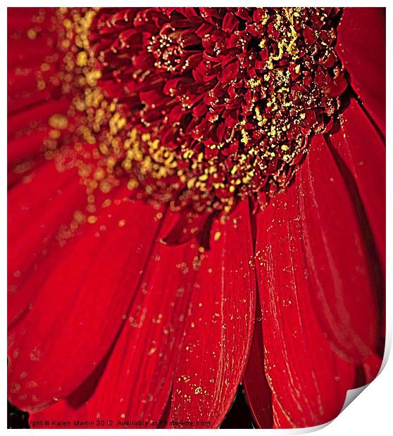 Gerbera Pollen Print by Karen Martin