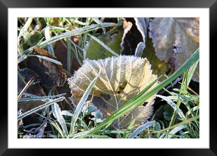 Frosty Feeling Framed Mounted Print by Carlyn Cairney-McCubb