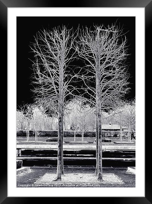 TREES IN BATTERSEA PARK Framed Mounted Print by Helen Cullens