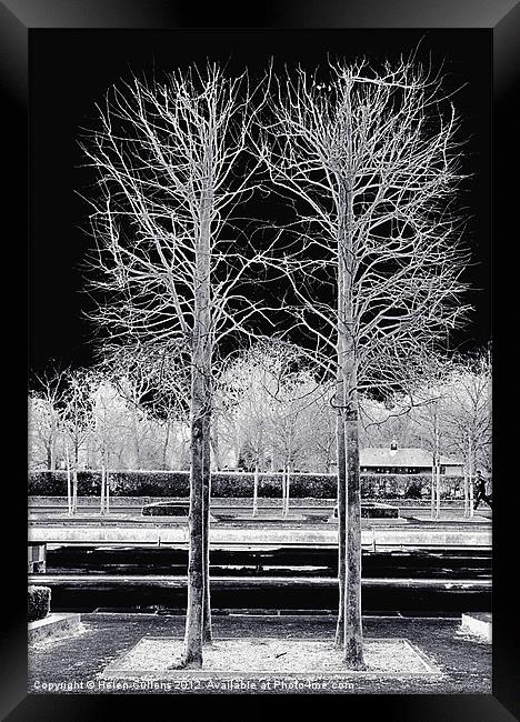 TREES IN BATTERSEA PARK Framed Print by Helen Cullens