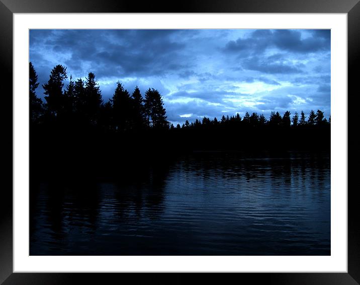 tree silhouettes at dusk Framed Mounted Print by Danny Martin