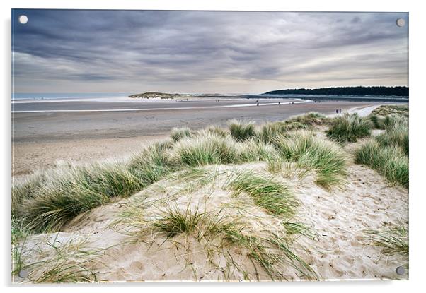 Holkham Sand Dunes Acrylic by Stephen Mole