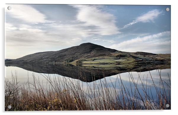 Bala Reservoir (Capel Celyn) Acrylic by Sandi-Cockayne ADPS