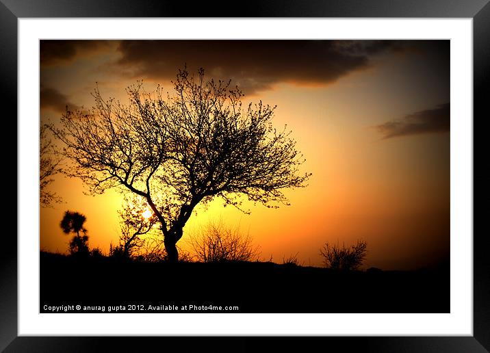 serene sunset Framed Mounted Print by anurag gupta