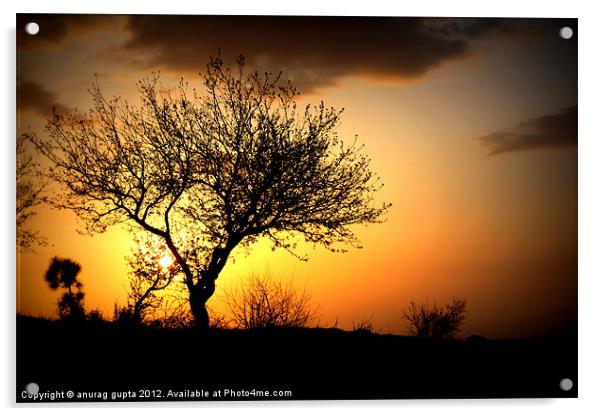 serene sunset Acrylic by anurag gupta