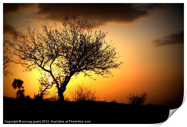 serene sunset Print by anurag gupta