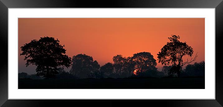 Plume Sunrise Framed Mounted Print by mark humpage