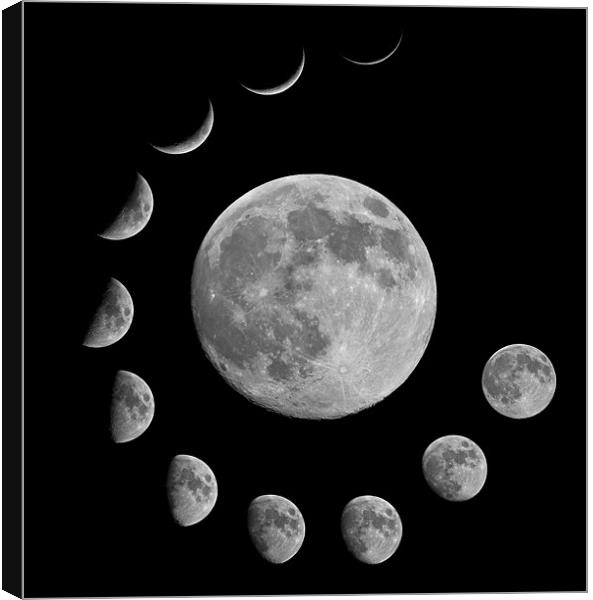Lunar Montage Canvas Print by mark humpage